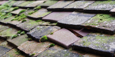 Stoke Hammond roof repair costs
